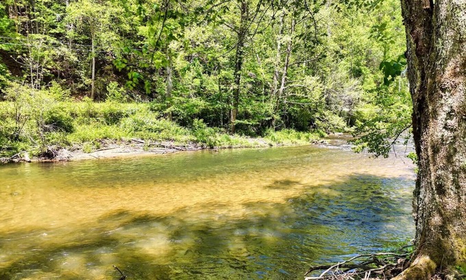 Suches Cabina | Toccoa River Cabin - Peaceful, Private Fishing Retreat on the Toccoa River!