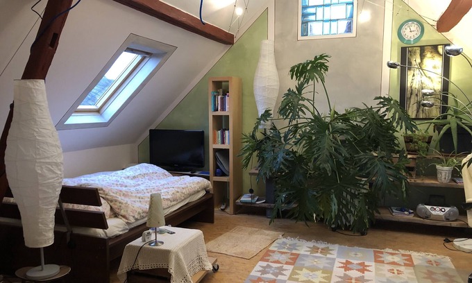 Sankt Goar Cama Y Desayuno | Tolles, 200 Jahre altes Lehmhaus mit großem Garten, Sauna, zwei Bäder, Küche