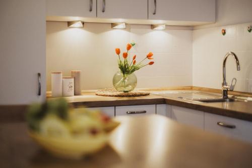 Rasa Apartamento | Töllhof Apartments and Farm