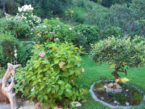Volders Apartamento | TOP Garden View