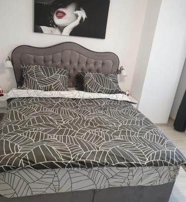 Bacau Apartamento | Topaz Central Apartment