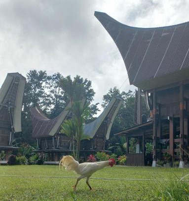 Rinding Batu Casa | Toraja Homestay & Coffee Bunna