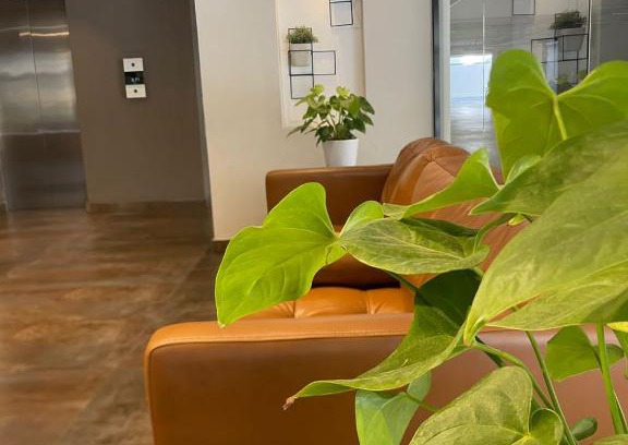 Evaristo Morales Apartamento | Torre paseo 29 502