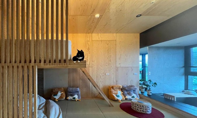 Toucheng Apartamento | Toucheng Joyful 宜蘭海景民宿-頭城小確幸 寵物友善 電動車免費充電 附早餐