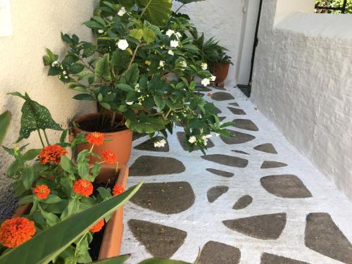 Spetses Apartamento | Toula's house 2
