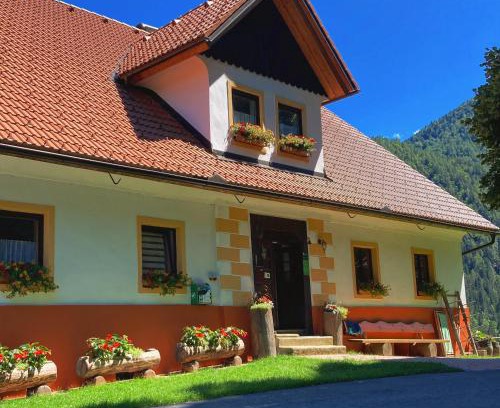 Solcava Apartamento | Tourist farm Gradišnik