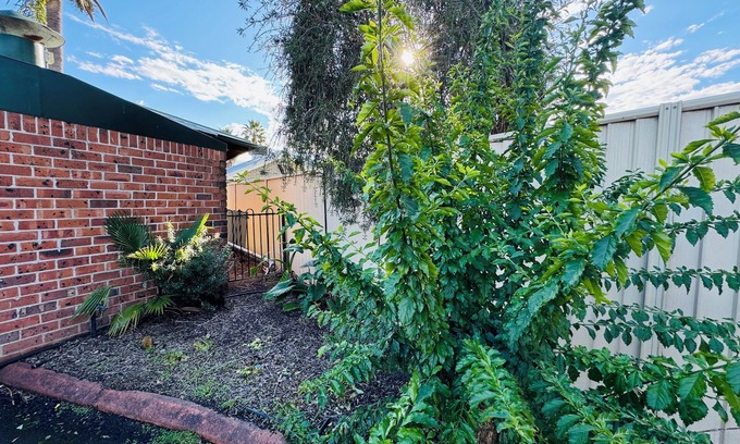 South Tamworth Hotel | Town & Country Motor Inn