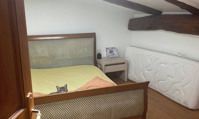 Lezan Casa | Town house near Anduze la bambouseraie in the Cévennes