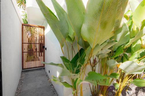 By Pass Ngurah Rai Casa | Town House REX