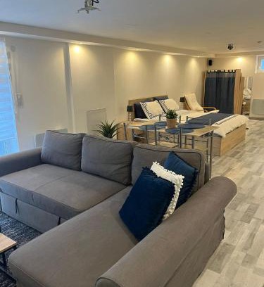 Lingolsheim Apartamento | Très bel appartement type loft de 40 m2 dans maison avec parking privatif