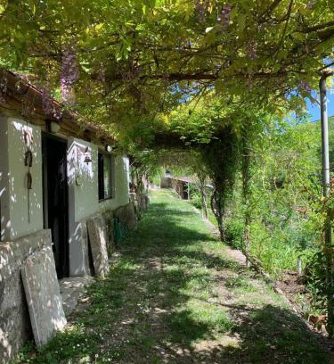 Rieti Cama Y Desayuno | Tra Fiori e Antichità