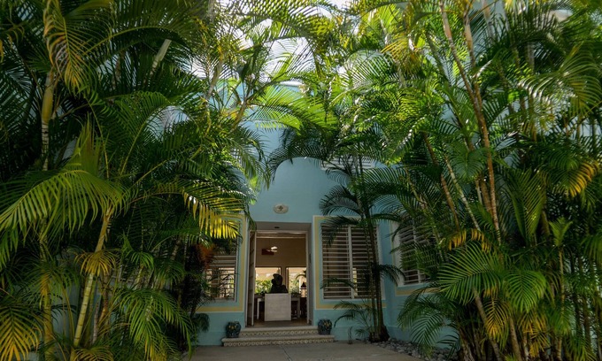 Independencia Casa | casona tradicional en Cozumel - Jardín y piscina