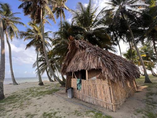 San Francisco Apartamento | Traditional Cabin on Aroma Island
