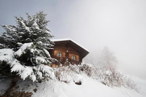 Sarreyer Chalet De Esquí | Traditional chalet in the heart of nature