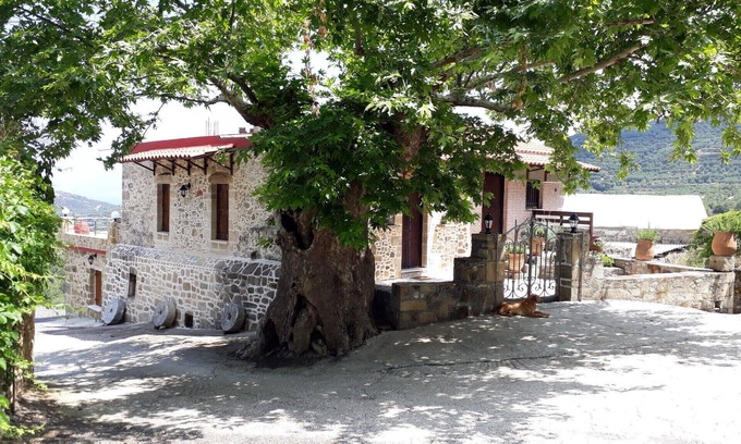 Koukounara Cabaña | Casa Tradicional Koukounara
