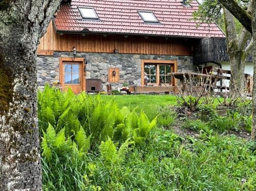 Vransko Apartamento | Traditional Slovenian house