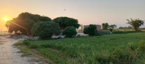 Punjab Apartamento | Traditional Village Farm Stay Nature & Peace in desi food