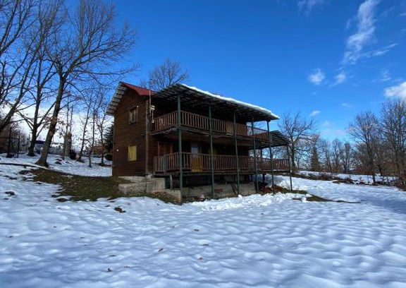 Lake Plastiras Apartamento | Traditional Wooden Apartment