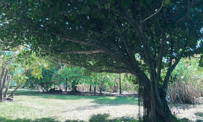 La Vega Province Casa | VILLA ANACAHUITA - Limonal, Jarabacoa