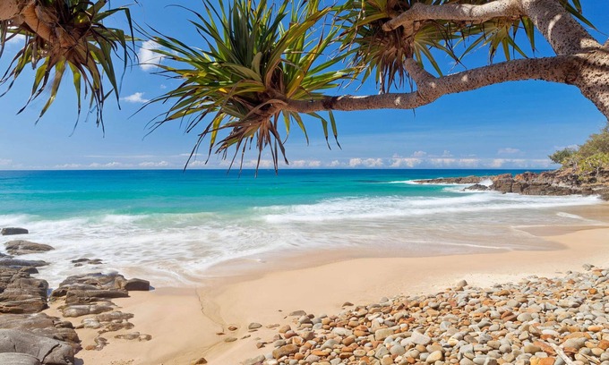 Yaroomba Casa | Tranquil beach retreat, pool, boardwalk, sleeps 8