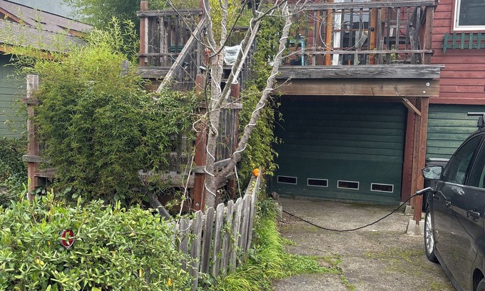 Guerneville Cabaña | Tranquil cottage just a short walk to the Russian River in Guerneville