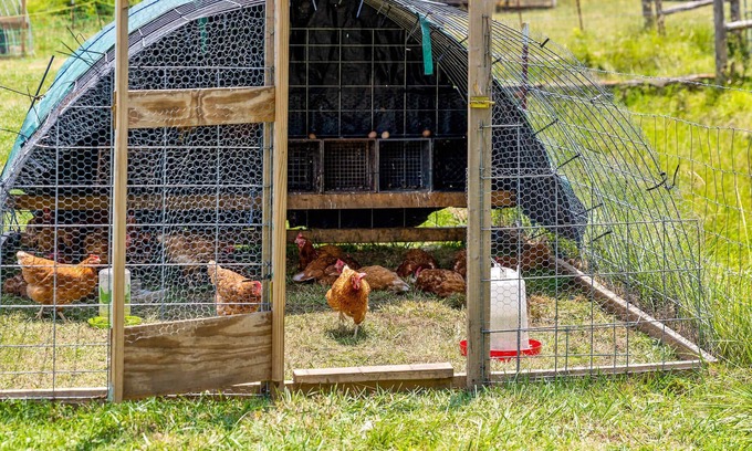 Lookout Valley Neighborhood Association Alquiler De RV | Tranquil Farm Yurt - Mountain View