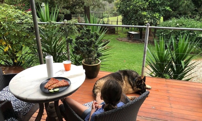 Grose Vale Cabaña | Tranquil Farmstay Cottage KURRAJONG on acres pet friendly 1 hr Syd