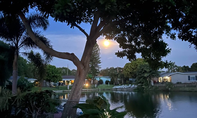 Seminole Casa | Tranquila casa frente al lago: playas del golfo, tiendas y entretenimiento cerca