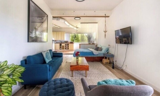 Piedmont Pines Apartamento | Tranquil Modern 1 bedroom in-law unit in the Oakland Trees