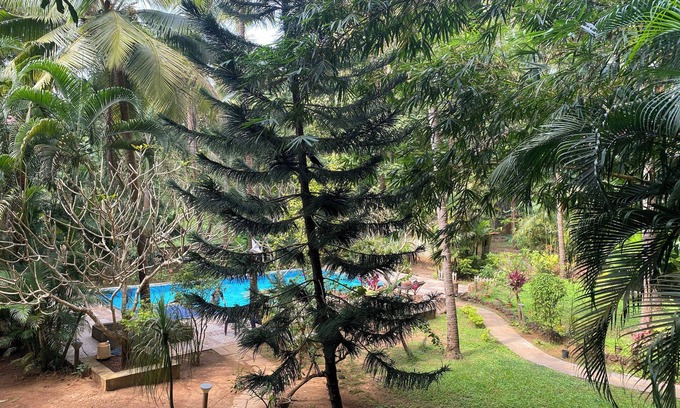 Palolem Apartamento | Tranquil Stay, Garden Estate - Palolem Beach, 1BHK Flat