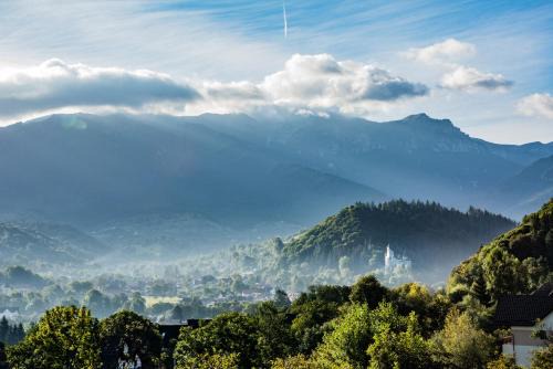 Bran Hotel | Transylvanian Inn