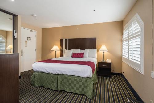 Snail Hotel | Travel Inn Sunnyvale