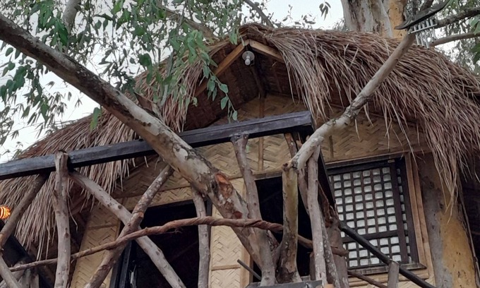 Castillejos Apartamento | Traveler's Treehouse near Mapanuepe Lake