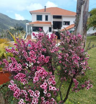Machico Casa | Traveller's House