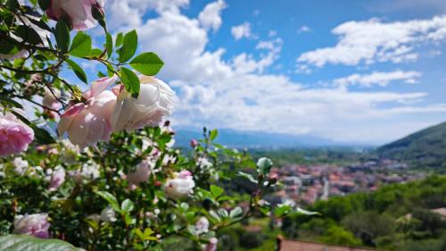 Trebiano Magra Apartamento | Trebiano a casa dei nonni