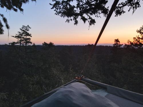 West Stayton Cama Y Desayuno | Tree Climbing at Silver Falls
