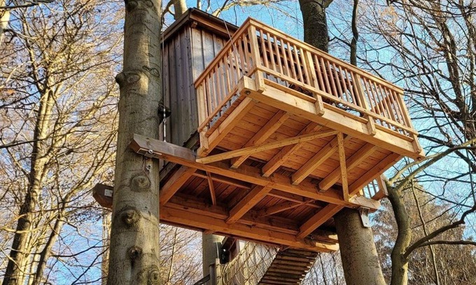 Northeim District Apartamento | Tree house Baumtraum, living/sleeping room - Baumhaushotel Solling