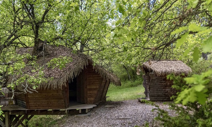 Sigonce Cabina | Casa del árbol-Baño con ducha-Cabane dans l'arbre