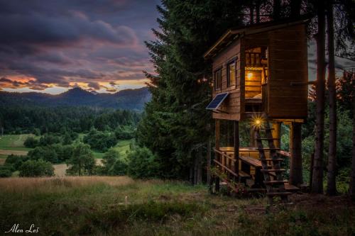 Cabar Cabina | Tree House Gorski Lazi