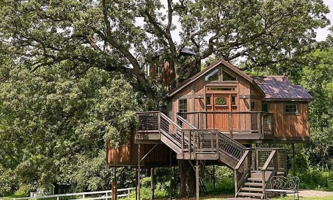 Cottage Grove Casa | Tree House Treehouse Mansion Lofty Lodge