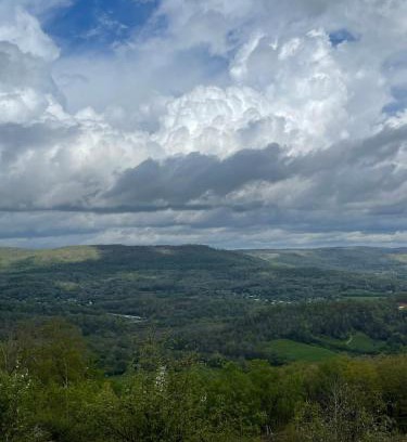 Trenton Casa | Tree Top View of lookout mountain