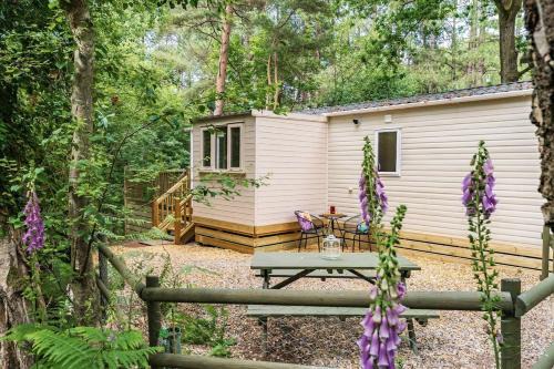 Weybourne Casa | Tree Tops - Norfolk Cottage Agency
