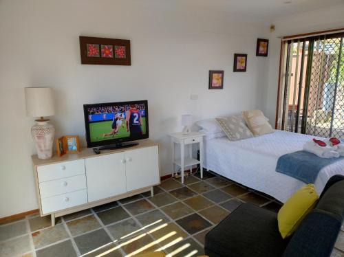 Bangor Casa | Tree Tops Studio Bangor