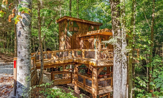 Rogers Apartamento | Treehouse - Amazonia - Red River Gorge, KY
