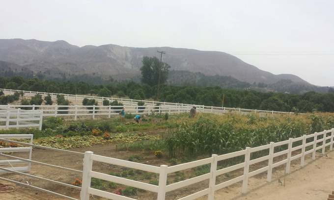 Fillmore Cabaña | Treehouse and farm stay in Fillmore