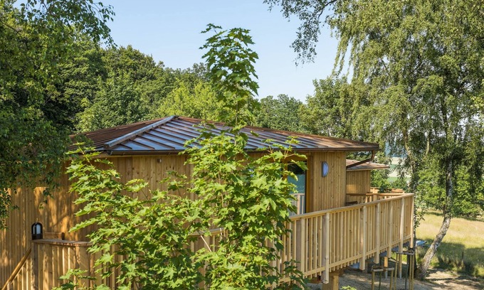 Aerzen Cabina | Casa del árbol Birkenhöhe - Aerzener Baumhaushotel Waldquelle