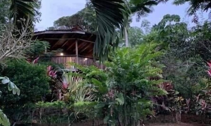 San Isidro de El General Cabina | Cabaña Del Árbol