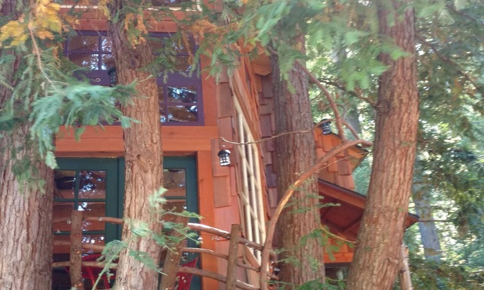 Los Gatos Chalet De Esquí | Casa del árbol en las montañas de Santa Cruz, secoyas, playas y Silicon Valley