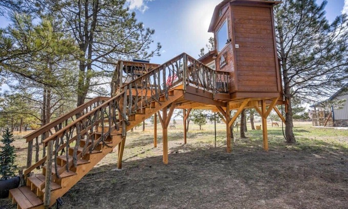 Larkspur Cabina | Treehouse Mountain Views Unique Ranch Experience