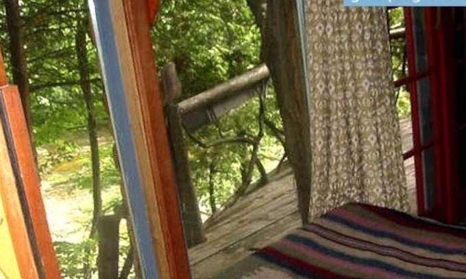 Lanark Casa | Casa del árbol posada en la orilla del agua